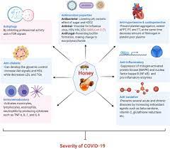 Learn vocabulary, terms and more with flashcards, games and other study tools. Prospects Of Honey In Fighting Against Covid 19 Pharmacological Insights And Therapeutic Promises Sciencedirect
