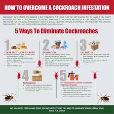 Master identifying bug bites from the experts at pest. 15 Pest Control Ideas Pest Control Pests Infographic