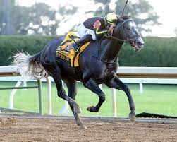 Knicks go trained up to the pegasus world cup at fair grounds and cox said he would return to the new orleans track and let the next 10 days determine whether he will go to the saudi cup feb. Knicks Go 2021 Kentucky Derby Oaks April 30 And May 1 2021