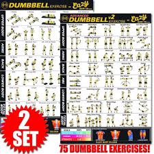 Dumbbell Exercise Workout Banner Poster Complete Set Big 28 X 20