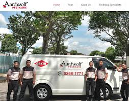 The manager was so much more knowledgeable and can describe what his services will be. The 8 Best Pest Control Singapore Services 2021
