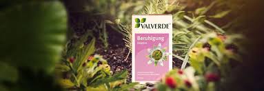 Herzrasen, schweißausbrüche, innere unruhe, beklemmungen und das gefühl einer diffusen bedrohung lassen nach. Pflanzliches Mittel Bei Innerer Unruhe Und Nervositat Valverde