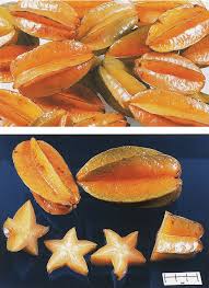 Image result for Averrhoa carambola