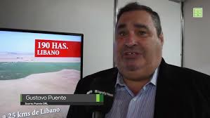Nota a Gustavo Puente sobre la actualidad del mercado inmobiliario rural.