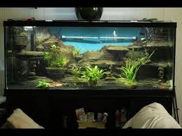 Aquarium Selber Bauen Aquarium Deko Selber Bauen Youtube Aquarium Deko Aquarium Aquarium Ruckwand