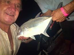 hibiscus coast activities Archives