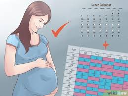3 Ways To Use The Chinese Birth Gender Chart For Gender Selection