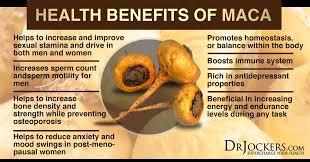 In such studies, it was found that scores improved after taking maca root. 5 Hormone Balancing Benefits Of Maca Drjockers Com
