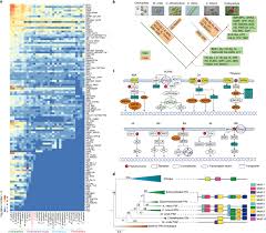 Hai navigato fino a qui per trovare informazioni su coffee machine parts? Genomes Of Early Diverging Streptophyte Algae Shed Light On Plant Terrestrialization Nature Plants