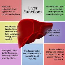 The Liver Medical Knowledge Detox Your Liver Liver Health