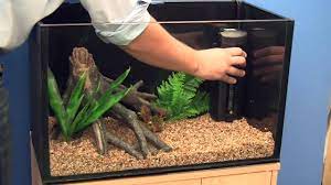 How to start a fish tank. Setting Up A Goldfish Aquarium Youtube
