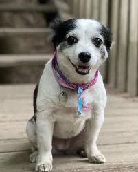 Megan O'Neil (@meagainoneil) • Fotografije in videoposnetki v Instagramu