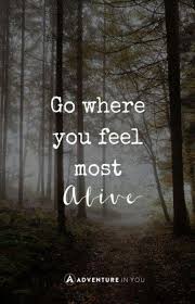 Trendy Quotes Nature Adventure Country Ideas Mountain Quotes Nature Quotes Adventure Quotes