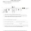 Some of the worksheets below are pedigree worksheets with answer key, exploring the components of a pedigree:, analyzing simple pedigrees and interpreting a human pedigree with several interesting questions with answers. 1