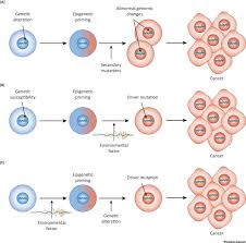 Epigenetic Priming In Cancer Initiation Trends In Cancer