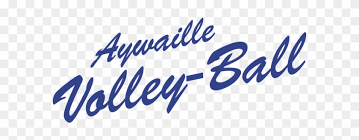 En cas de formation entraîneur fédéral non finalisée par un entraîneur, ou de bees 1er degré sans diplôme fédéral, une. Aywaille Volley Ball Logo Barreto Clipart 4902783 Pikpng