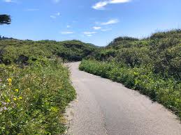 Address, half moon bay reviews: Half Moon Bay Coastal Trail Roadside Secrets
