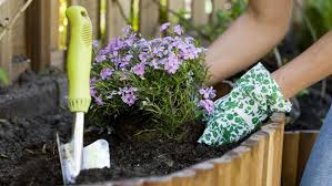 25 Tips Goedkoop Tuin Aanleggen Of Opknappen Van Je Tuin