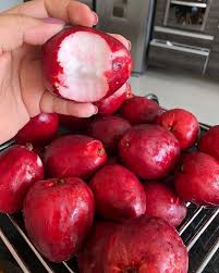 Subiu no jambeiro para pegar umas frutinhas pra mim! Mega Receitas Jambo E Uma Fruta Bastante Popular Em Facebook