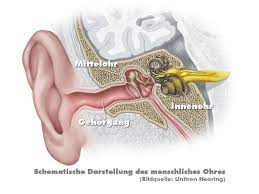 Der Starkste Gehorschutz Welcher Ohrstopsel Macht Es So Leise Wie Moglich