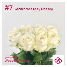 Essentially, she gets called the healer of the healers and feels it is a rich blessing to be the spark for all the other beautiful souls who light our world on fire. Wans Roses Lady Lindsey The Perfect Wedding Flower Facebook