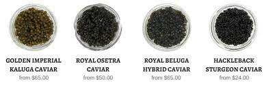 Russian beluga caviar 6 jars 678. What Is The Difference Between Black Caviar And Red Caviar Caviar Star