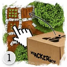 Wie sie einen solchen naturgarten selbst anlegen und gestalten, worauf sie bei der pflanzenauswahl und der gartenpflege achten sollten und welche merkmale typisch für einen. Myacker Com Mein Gemusegarten Im Internet
