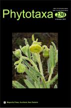 Image result for Afrohybanthus