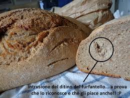 Durata della lievitazione 15 ore circa, a una temperatura che oscilla tra i 15 e i 18°c. Pane Casereccio Con Metodo Bonci Con Pasta Madre Qui Cucino Io