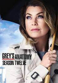 Throughout the series, meredith goes through professional and personal challenges along with fellow surgeons at seattle grace hospital. Grey S Anatomy Streaming Tv Show Online