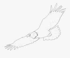 Big canvas paintings for home decor. Easy Eagle Line Art Novocom Top