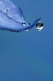 Plombier Paris 10 Avec Une Disponibilite 24h 24 Jour Et Nuit Pour Satisfaire Toutes Les Attentes De Nos Clients Nou Water Photography Water Droplets Dew Drops