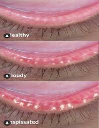 Image result for Blepharis transvaalensis