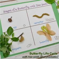 Download 25 Beautiful Butterfly Crafts For Kids Of All Ages Messy Little Monster