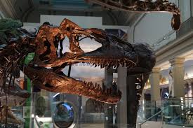 Dinosaurs Are Back With A Climate Change Warning At The Smithsonian Pbs Newshour