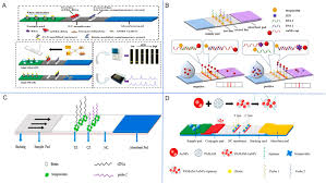 Image result for Modified Apt Test