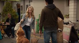Milo ventimiglia, amanda seyfried, kathy baker and others. Does Enzo Die In The Art Of Racing In The Rain Spoilers Ahead