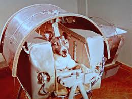 Years after sputnik 2 burned up in the atmosphere, conflicting scenarios of laika's death were circulating in the west, along with few other misconceptions about this historic mission. Laika Declassified Daily Planet Air Space Magazine