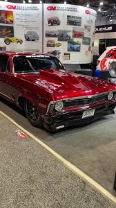 Image result for Light Driftwood 1987 Nova