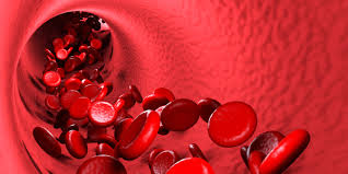 In a significant number of cases, the disorder results from a new mutation or. Hemofilia Pfizer Brasil
