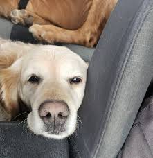 equestrian adventure and horse camping experience