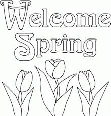Free coloring for kids is fun, entertainment and learning. Flower Flowers Spring Coloring Pages Preschool Free Image Download