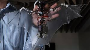 In fact, the most adaptable of the robots (batbot, b2) has limited manoeuvrability and efficiency,. Bat Bot Flying Robot Mimics Ridiculously Stupid Complexity Of Bat Flight The Two Way Npr