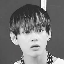 </div></body></html>