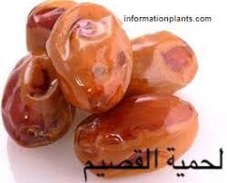 تمر لحمية او لحمية القصيم قسم التمور مع الصور قسم التمور انواع الاسماك مع الصور موقع المعلوماتية نبات حيوان fruit food vegetables