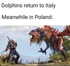 Top 15 meme countryhumans poland. Dolphins Return To Italy Meanwhile In Poland Meme Memezila Com