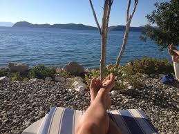 Baliklarimiz Mavi Akvaryum Otel Sogut Resmi Tripadvisor