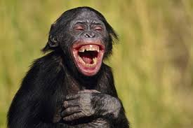 Orodha ya shule na mahali zilipc >. Arigatheguy Laugh And Laugh And Laugh Cuz Laughter Is The Best Medicine