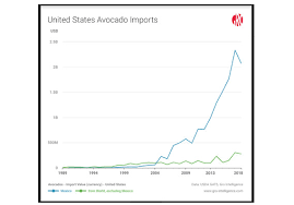 Avocado Price Spike Illustrates Danger To U S Economy Of