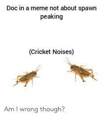 Doc In A Meme Not About Spawn Peaking Cricket Noises Am I Wrong Though Meme On Me Me